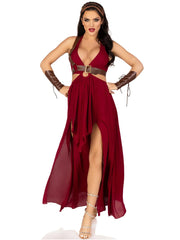 Warrior Maiden Costume