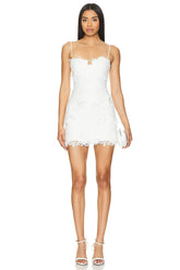 Brias Mini Dress